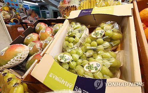 온라인 카지노 사이트