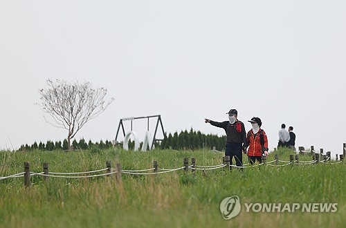 핸드 확률