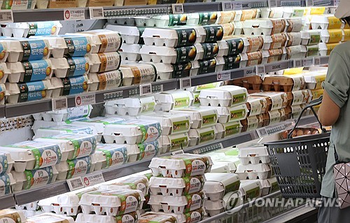 토토 사이트