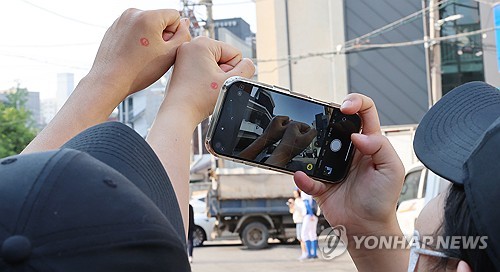 베가카지노