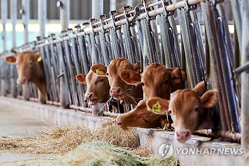 토토 사이트 추천