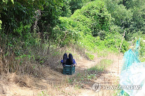 바카라 카지노 사이트