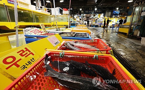 스포츠 토토 사이트