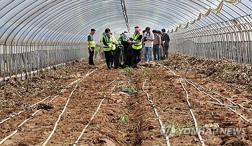 사설 토토사이트