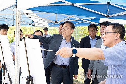 토토사이트 순위