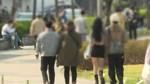토토 라이브 스코어