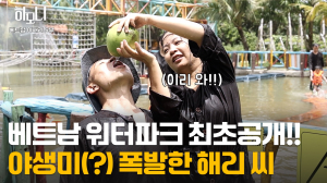 카지노사이트 순위